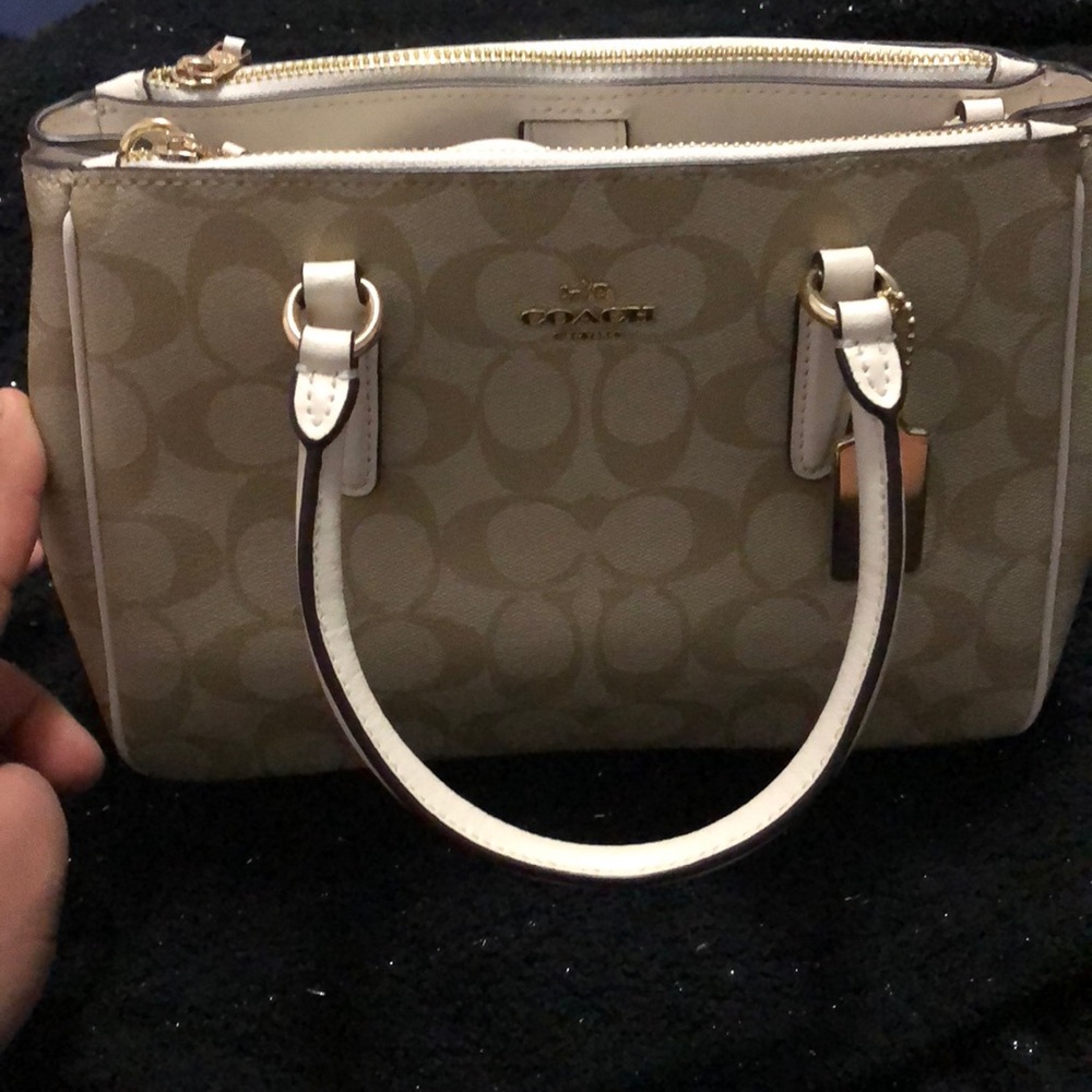 Brand new mini surrey carry all